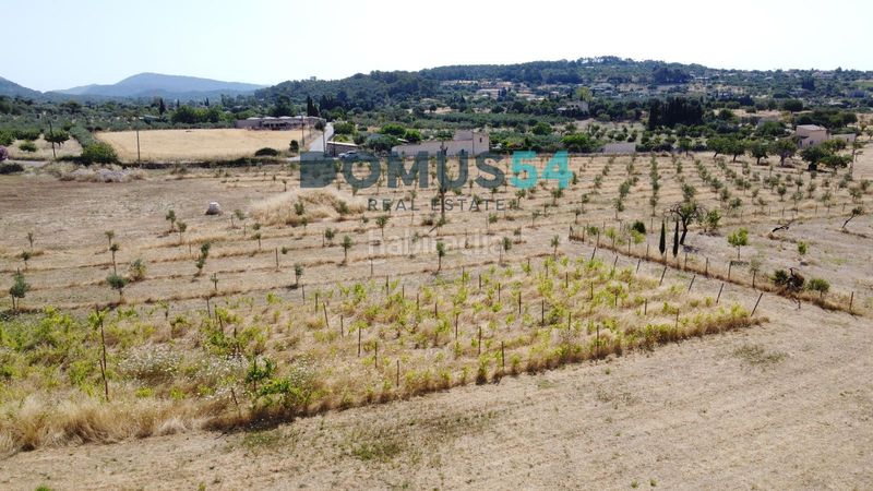Foto ab15b6de-f697-4366-a922-a0c972e5aa44. Finca rústica a Selva