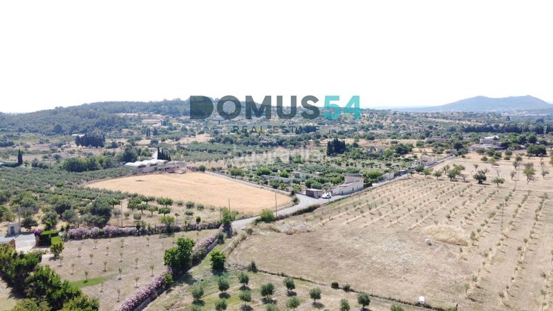 Foto e0cbe5c2-847b-41dd-834d-d862c075464b. Finca rústica a Selva