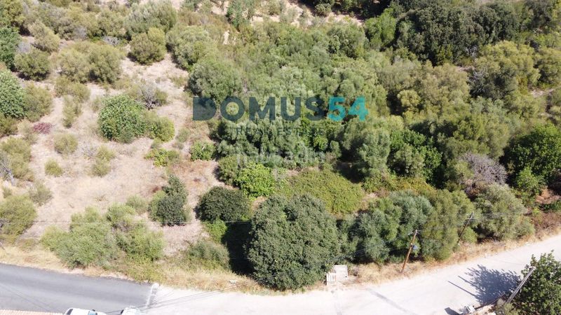 Foto 7124480c-5f74-4230-93ce-2b1681588714. Finca rústica a Campanet