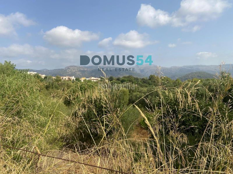 Foto acc4e43d-dc02-42b6-854a-04846546e6c1. Finca rústica a Campanet