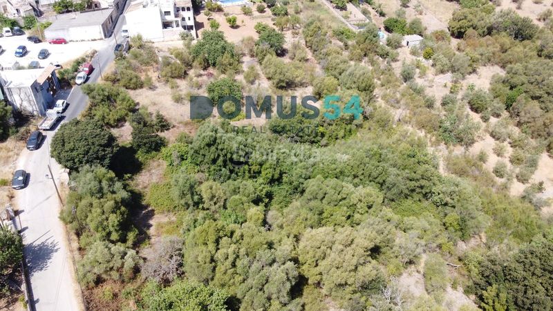 Foto dc583df5-9708-46a1-bf59-551c4779741f. Finca rústica a Campanet