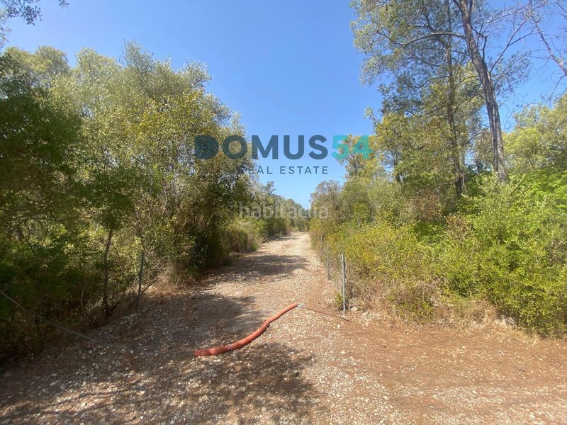 Foto 15e4b471-728d-47b1-9c08-0e6772a0af0c. Finca rústica a ciutat d´Alcúdia Alcúdia