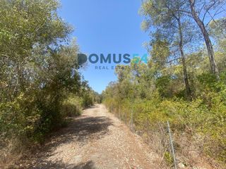 Finca rústica a Ciutat d´Alcúdia