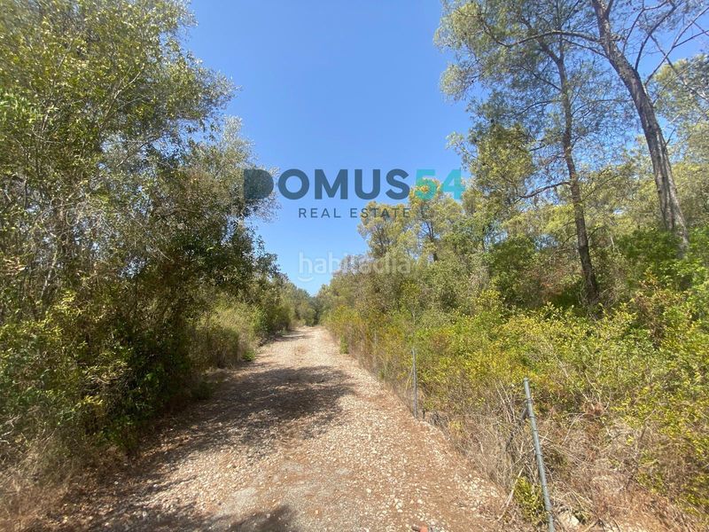 Foto 1a8b500c-c105-4833-af52-039e3643ded4. Finca rústica a ciutat d´Alcúdia Alcúdia