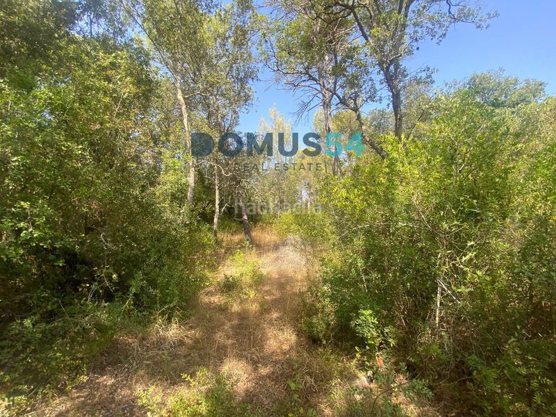 Foto 9b119b38-001f-43e5-9a2a-e2b64f6931ee. Finca rústica a ciutat d´Alcúdia Alcúdia