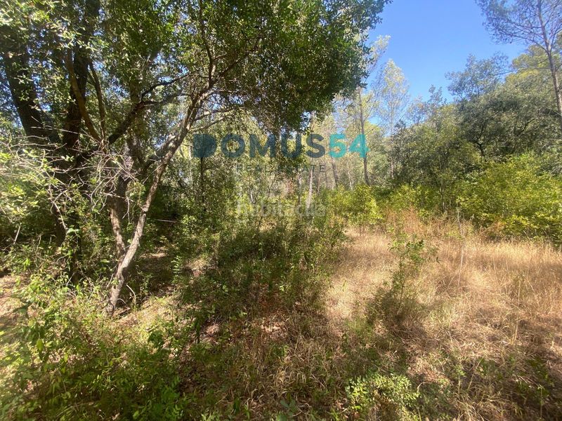 Foto afd265ce-793a-46e1-800c-b2f1ac4f7d95. Finca rústica a ciutat d´Alcúdia Alcúdia