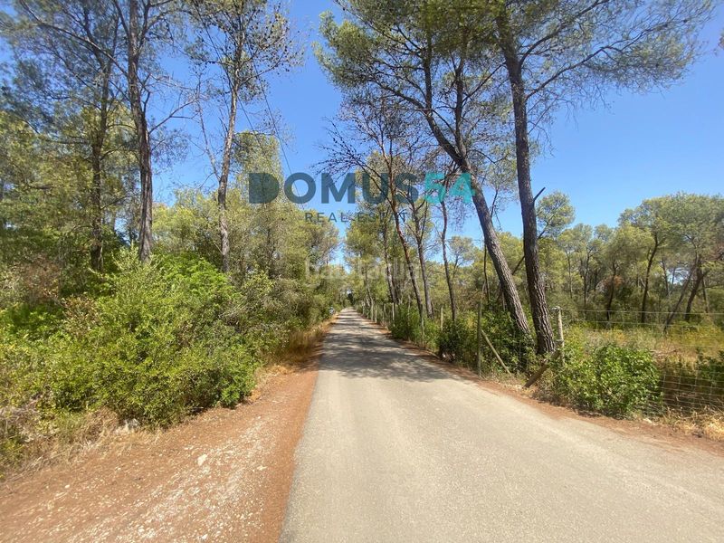 Foto f6e4bf22-68d6-4b3b-bea5-9e315aa24fd1. Finca rústica a ciutat d´Alcúdia Alcúdia