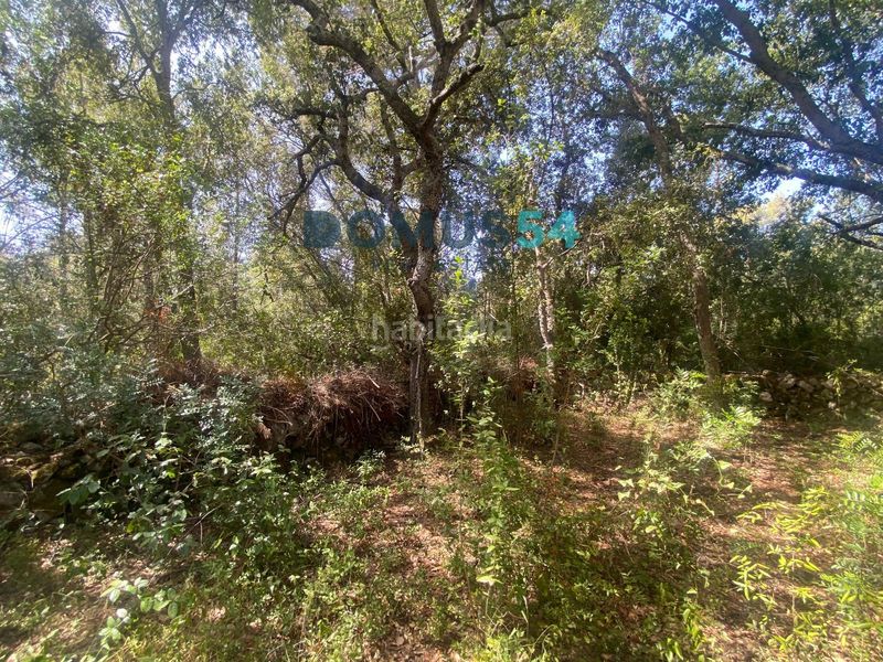 Foto fb774098-4003-4790-bf9b-a74facfdcb16. Finca rústica a ciutat d´Alcúdia Alcúdia