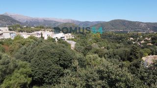 Residential Plot in Campanet. Solar urbano en campanet