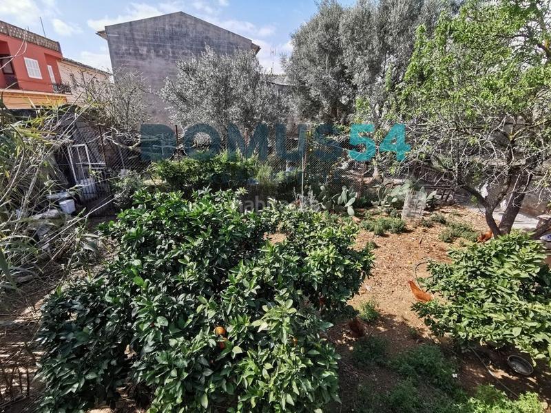 Foto 6dbd1845-077e-49cf-a96e-1f3fc333c9ae. Finca rústica a Muro