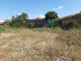 Finca rústica a Santa Margalida Poble. Solar urbano ubicado en santa margalida