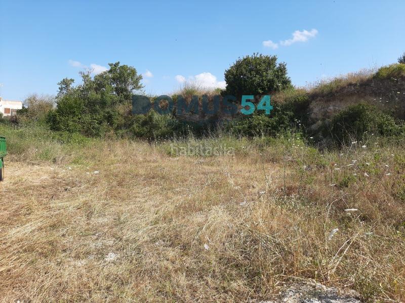 Foto 964dec25-3ddb-4f46-ae9e-e30a76dfb3a6. Finca rústica solar urbano ubicado en Santa Margalida poble Santa Margalida