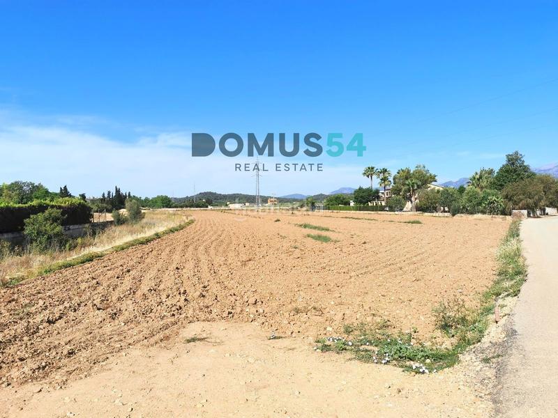 Foto 6becde01-7267-4e58-b07c-29a2252c3ae8. Finca rústica finca rustica no edificable en buger en Búger