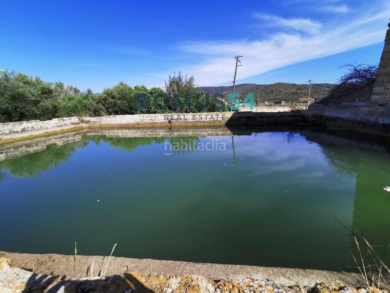 Foto eb9f572e-40fc-49da-a163-2be7b5123dd5. Finca rústica finca rustica no edificable en buger en Búger
