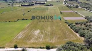 Propriété  12. Terreno rústico edificable en muro