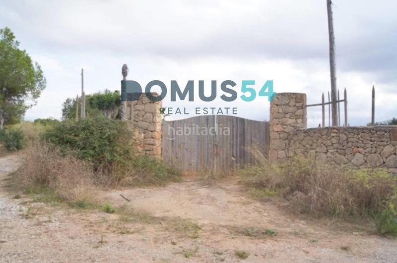 Foto 0670ad24-d2b7-467a-a3d1-7884f1edd1c7. Finca rústica terreno edificable en muro en Santa Margalida poble Santa Margalida