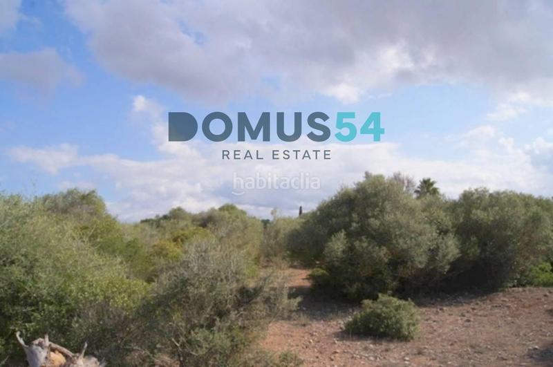 Foto 5d3f891e-99dd-40d0-a612-5ebfc4c4c361. Finca rústica terreno edificable en muro en Santa Margalida poble Santa Margalida
