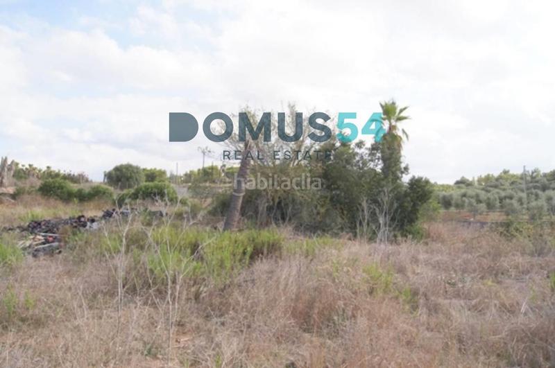 Foto c65a059a-fb25-4ce0-aeeb-57fa5de9e75b. Finca rústica terreno edificable en muro en Santa Margalida poble Santa Margalida