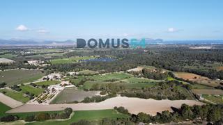 Residential Plot in Santa Margalida Poble. Finca rústica edificable en santa margalida