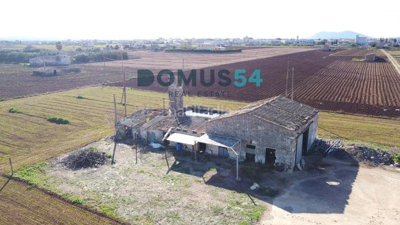 Foto 027aa0f8-4731-4d5b-850f-001f68cde86b. Fondo rustico in Sa Pobla