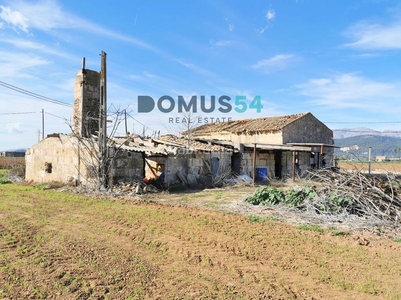 Foto 05a4246e-3f00-4314-abab-b6caaf9c2382. Fondo rustico in Sa Pobla