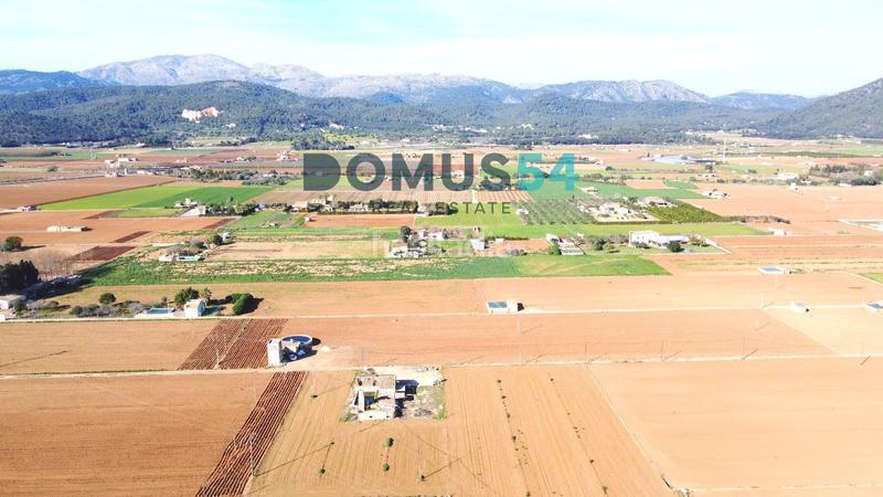 Foto 2776ad81-3025-4c49-9058-359e72709fe0. Fondo rustico in Sa Pobla