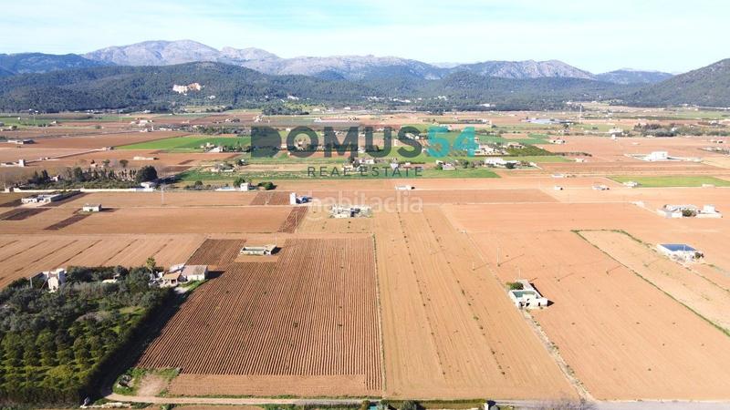 Foto 3d809883-8f27-4330-85ba-4896a708d2ba. Fondo rustico in Sa Pobla