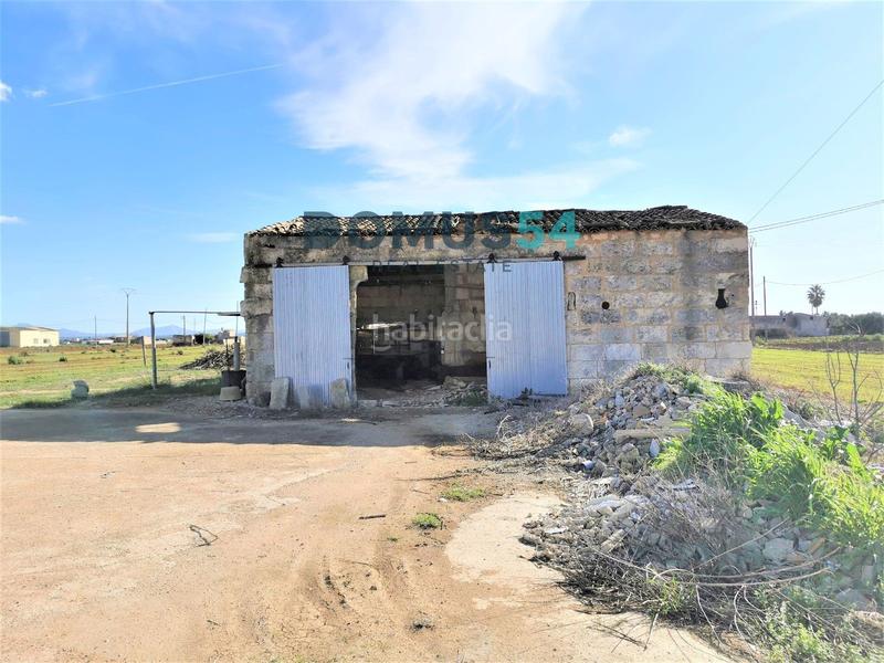 Foto 55005ff8-b373-4e17-a71a-d40644fa67c2. Fondo rustico in Sa Pobla