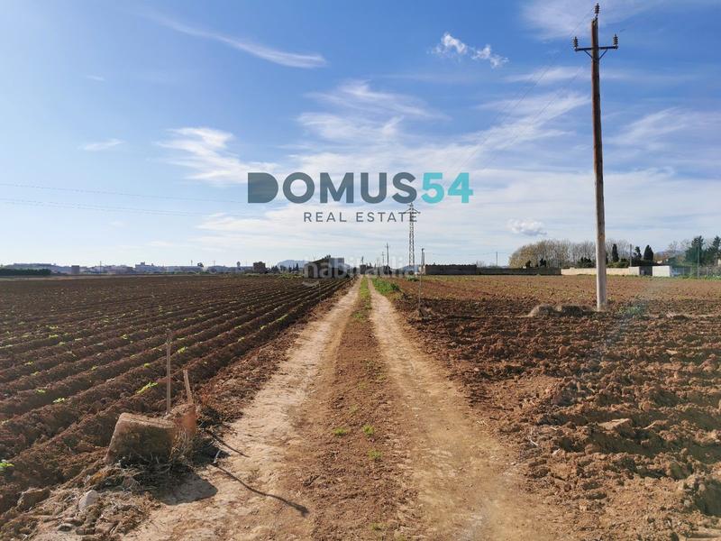 Foto 8046e177-8ef3-41d5-b304-ff92898b2459. Fondo rustico in Sa Pobla