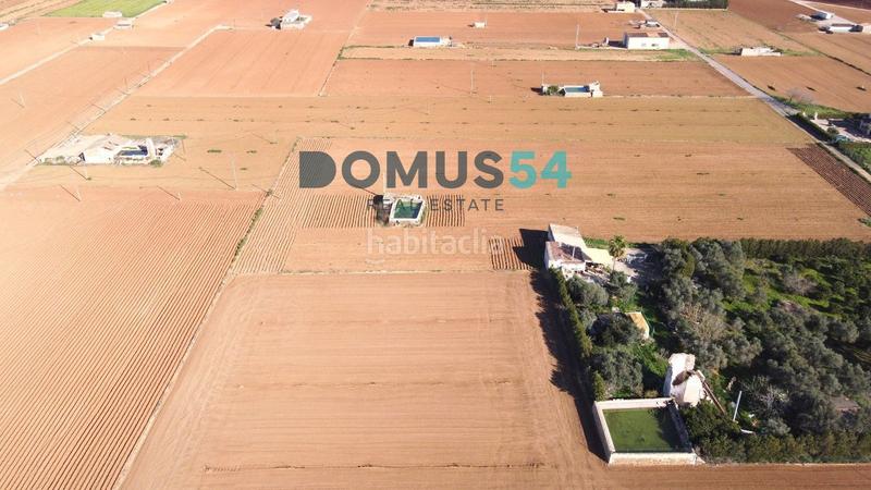 Foto 9fa0ab67-7385-4a69-ac77-5e005911851e. Fondo rustico in Sa Pobla