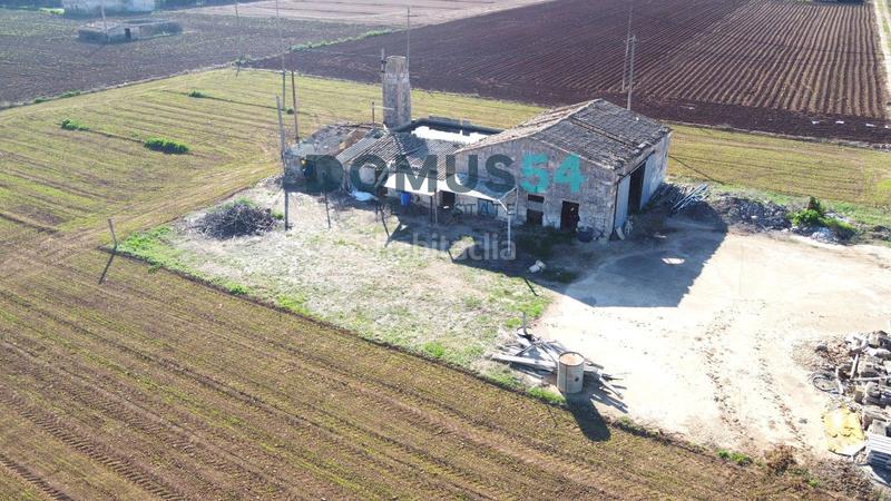 Foto a9375f03-f0ce-45d6-aa7b-eb765ea1cbae. Fondo rustico in Sa Pobla