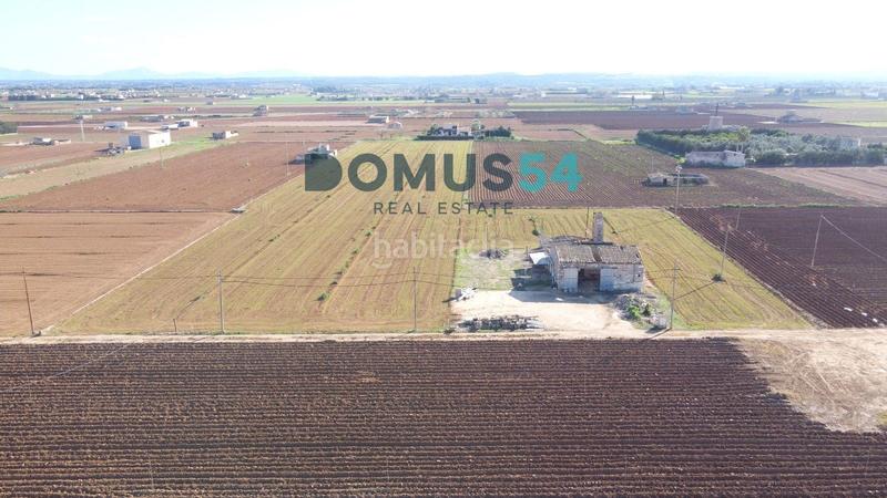 Foto b13e7f0e-731d-41e1-b16a-9d3e9dcb2c77. Fondo rustico in Sa Pobla