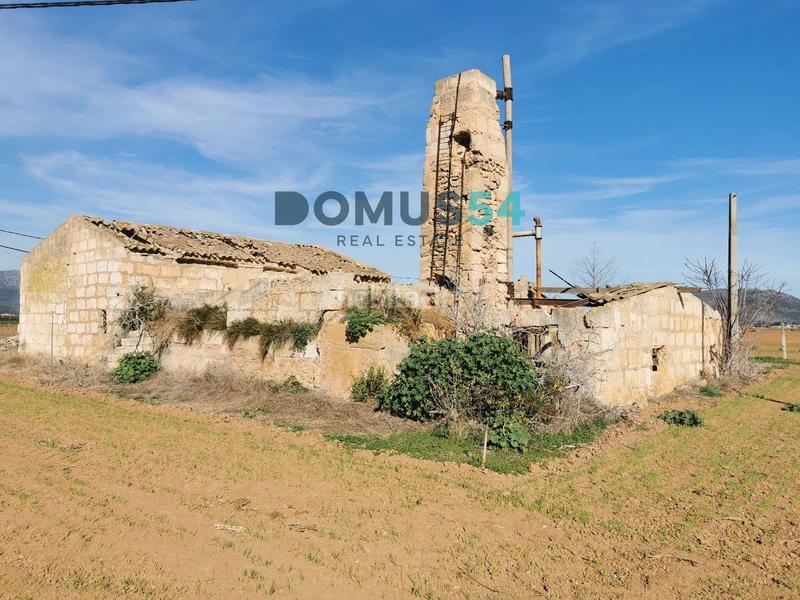 Foto b2c0ad5d-229b-4793-ac52-293a939baf66. Fondo rustico in Sa Pobla