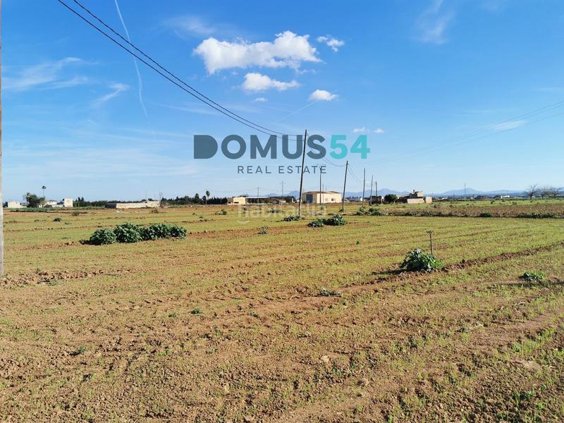 Foto c4ec65d3-5916-4ee3-a8f6-0794d1d3acc2. Fondo rustico in Sa Pobla