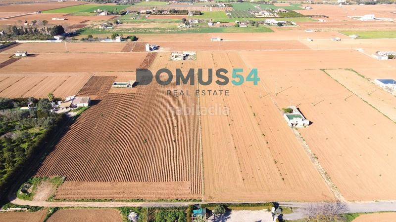 Foto d50151fc-49e3-4849-8e34-e6b2ed2652f5. Fondo rustico in Sa Pobla