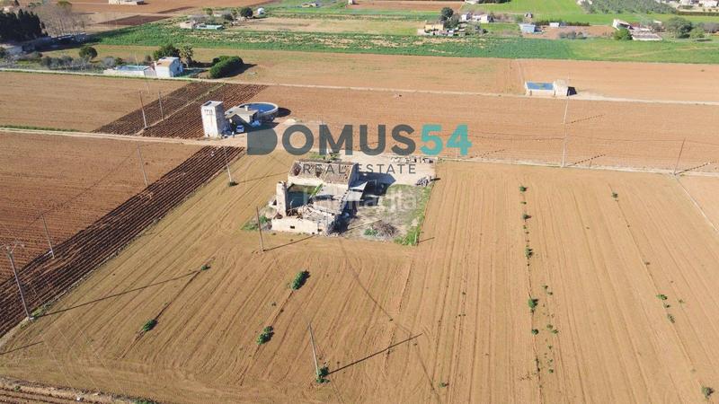 Foto df82742b-0850-432f-aff1-03a43531993e. Fondo rustico in Sa Pobla