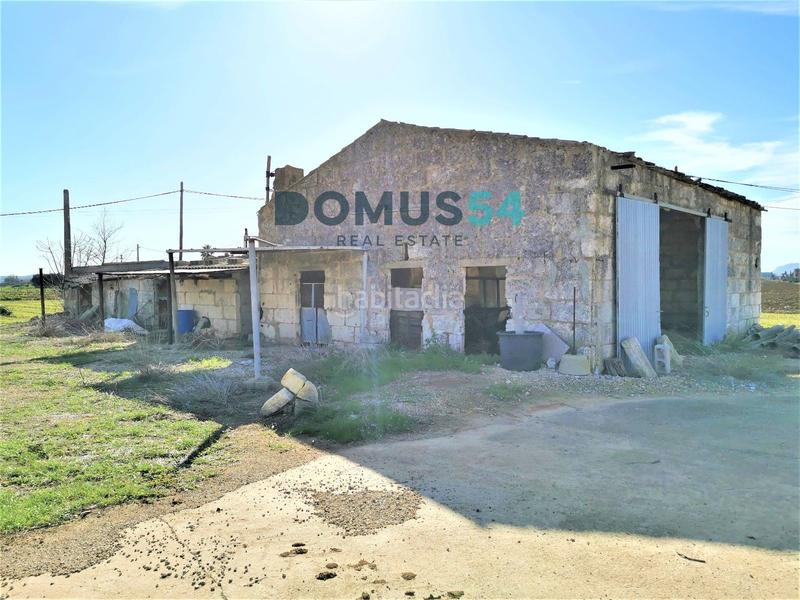 Foto f4d08292-72c2-4f5a-9a9f-22747c33cb99. Fondo rustico in Sa Pobla