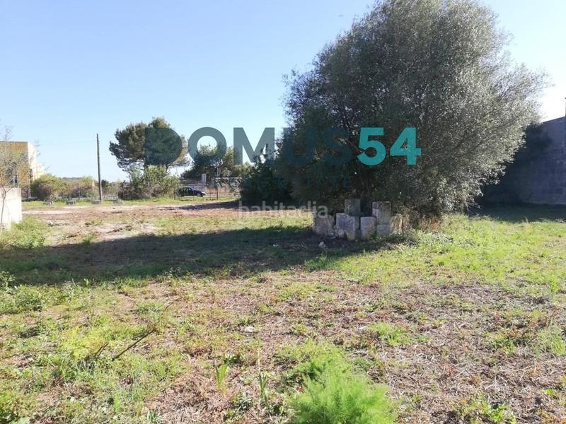 Foto 0d14e43c-4c64-4857-91aa-8776d492f70a. Propriété dans Búger