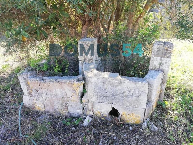 Foto 8cf2ad20-c362-475b-a671-4347228b9604. Propriété dans Búger