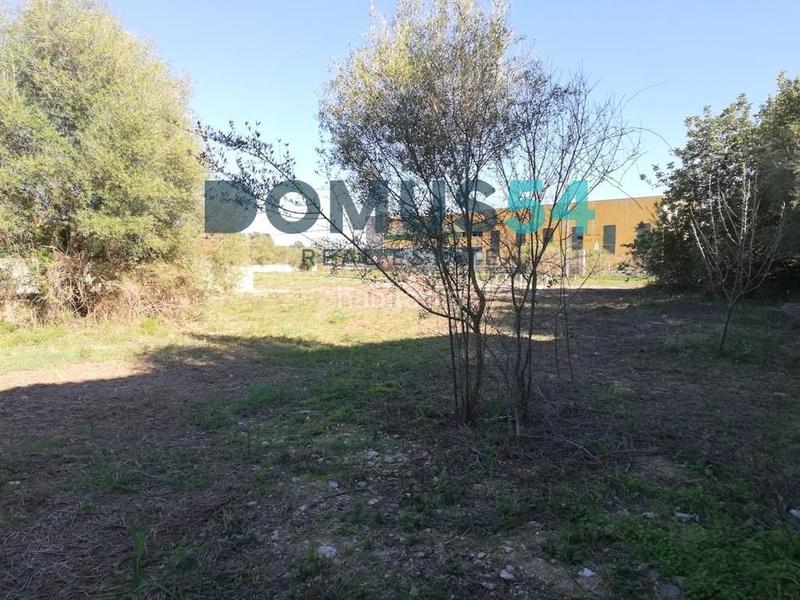 Foto cb5f6b62-2438-4646-8374-766d7dab5e41. Propriété dans Búger