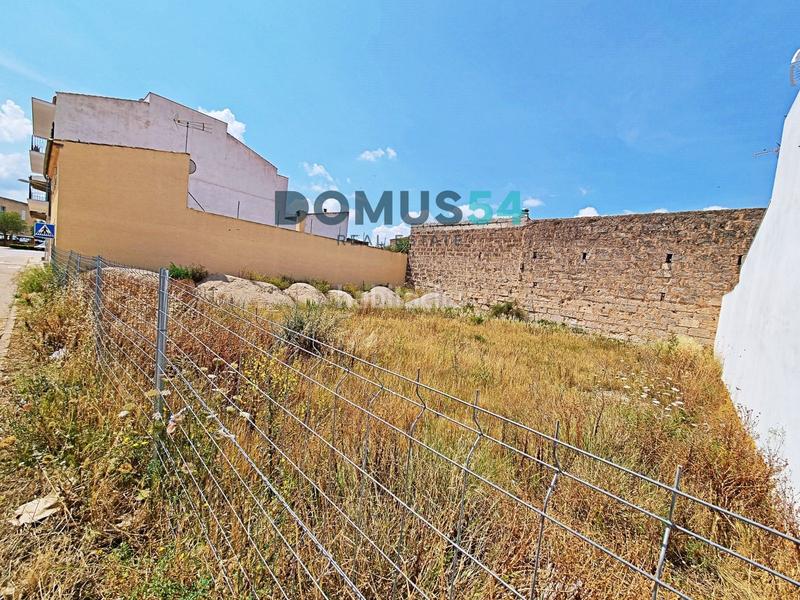 Foto d9dedfe3-e458-4283-ad07-2cc7f87b1cb6. Finca rústica a Sa Pobla