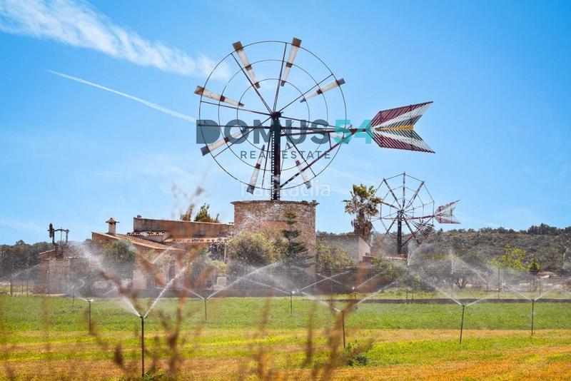 Foto dc19caf4-d84b-4ad3-b7de-2a14347db86d. Finca rústica a Sa Pobla
