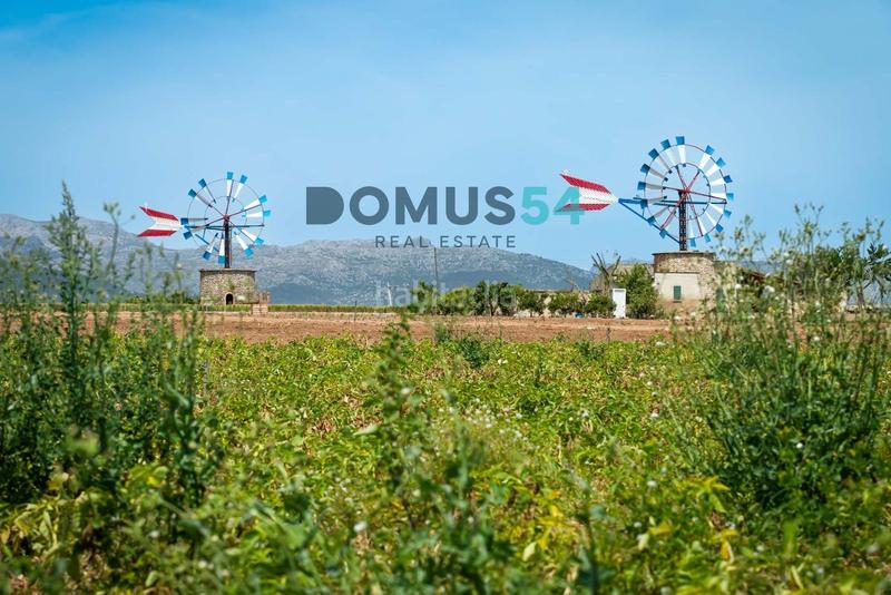 Foto d96fc2f3-61f8-4dcc-97c3-8f14155066b2. Fondo rustico in Sa Pobla