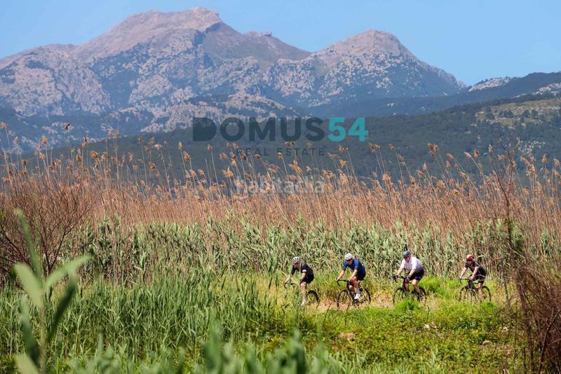 Foto ff07b7a2-3601-43f9-be18-a986b7b41924. Fondo rustico in Sa Pobla