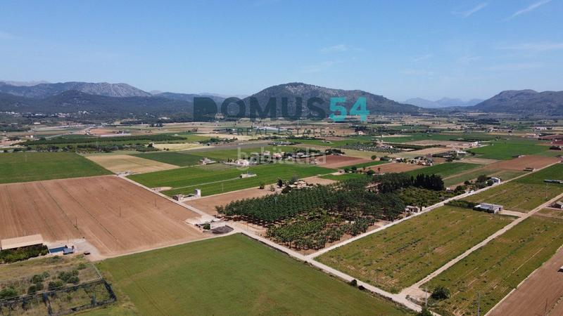 Foto d2059b05-9c70-498a-93af-642ffc53ae8a. Propriété dans Sa Pobla