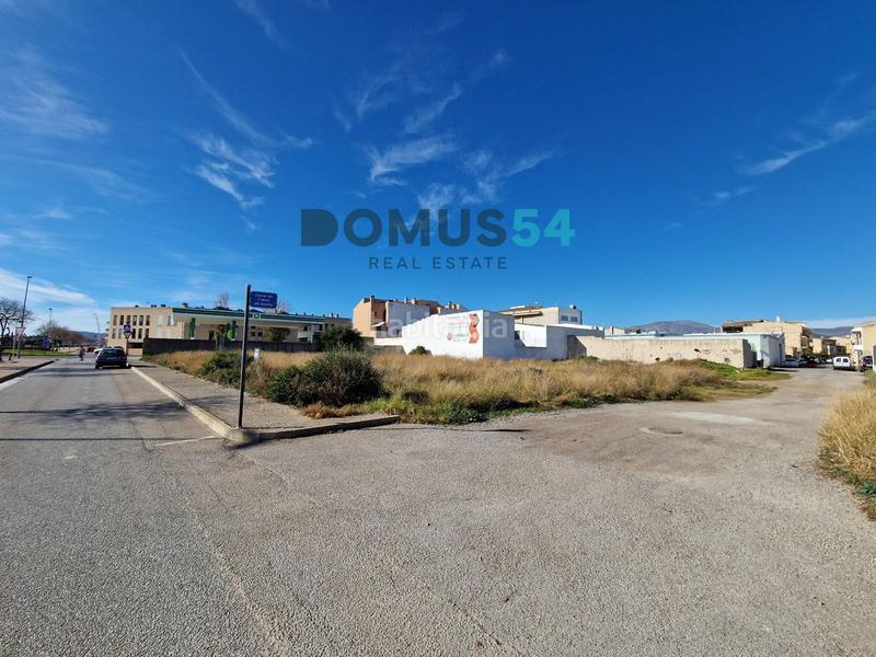 Foto b5340a7a-7e0d-441d-b7fa-12c5c6a60017. Rural plot in Sa Pobla