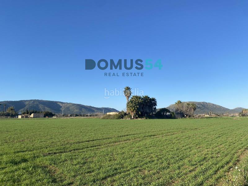 Foto 2cd4dbc1-cd4a-4274-bbe1-5c41a983a326. Finca rústica a Sa Pobla