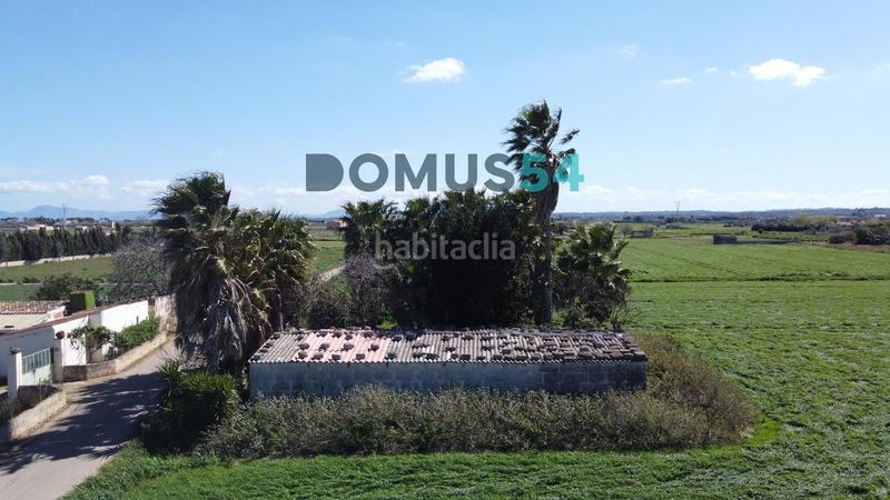 Foto 541599b2-b2be-4ab9-824e-2e397d772486. Finca rústica a Sa Pobla