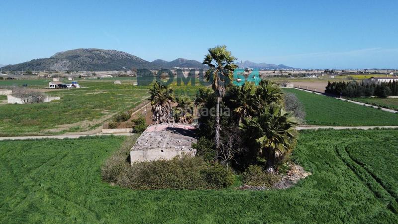 Foto 5a7709fe-f0e6-4cfb-a005-ec0f00ddea26. Finca rústica a Sa Pobla