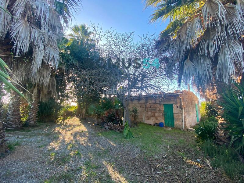 Foto 65b6a622-9844-4a7e-be40-8c965b0bbc99. Finca rústica a Sa Pobla